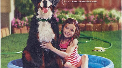 Purina 'Pool of Prizes' FSI
