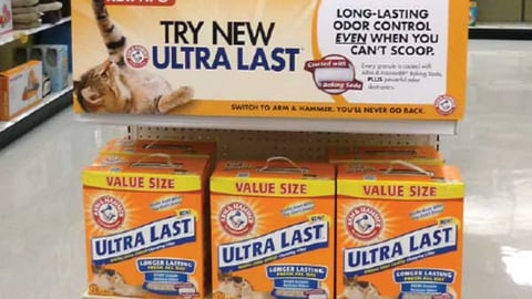 Arm & Hammer Cat Litter Target Endcap