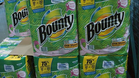 Bounty 'Early Detection' Pallet