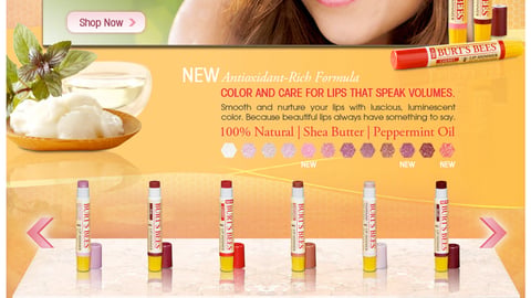 Burt's Bees Walmart.com Display Ad/Brand Showcase