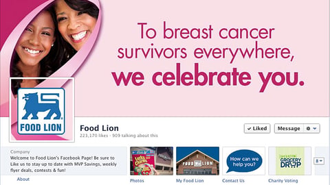 Food Lion 'Survivors' Facebook Banner