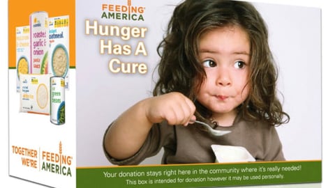 Food Lion 'Hunger Has a Cure' Donation Box