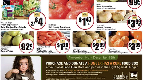 Food Lion 'Hunger Has a Cure' Feature