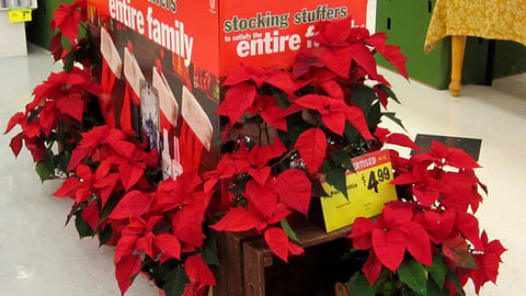 Unilever 'Stocking Stuffers' Dump Bins