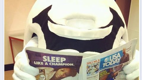 Sheets 'Serena Williams' Facebook Update