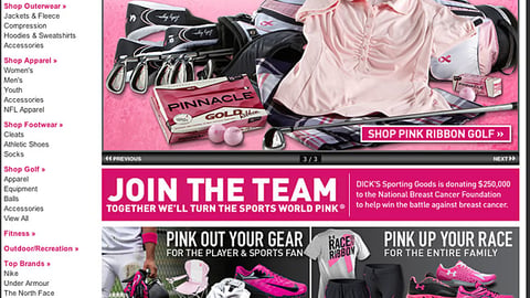 Dick's 'Sport Your Support' Landing Page