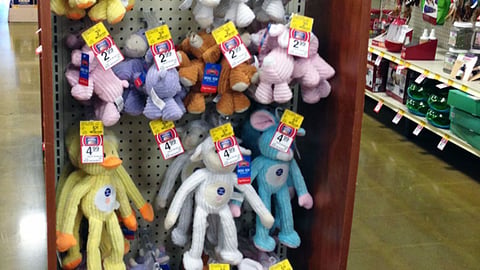 PetSmart Grreat Choice 'Spring Savings Sale' Endcap Header