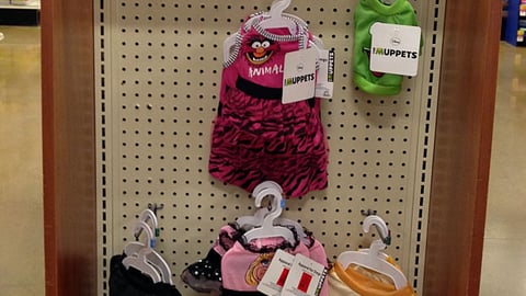 PetSmart Walt Disney 'Capture the Magic' Endcap