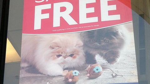 PetSmart 'Double Bonus Sale' Window Poster