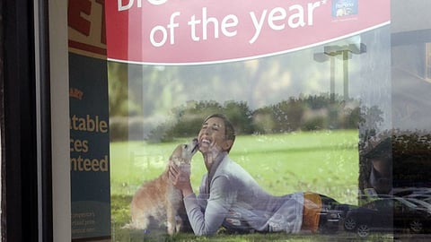 PetSmart 'Anniversary Sale' Window Sign