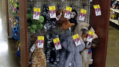 PetSmart Grreat Choice 'Anniversary Sale' Header
