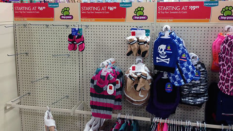 PetSmart Top Paw 'Fall Savings' In-Line Header