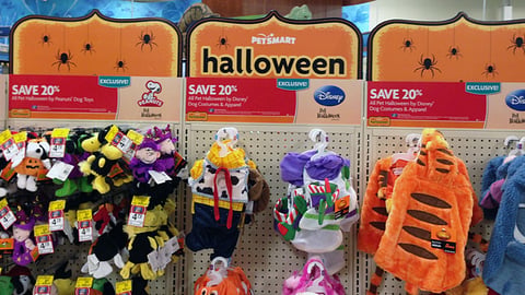 PetSmart Halloween In-Line Header