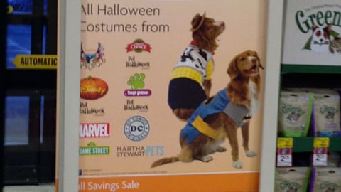 PetSmart 'Fall Savings' Stanchion Sign