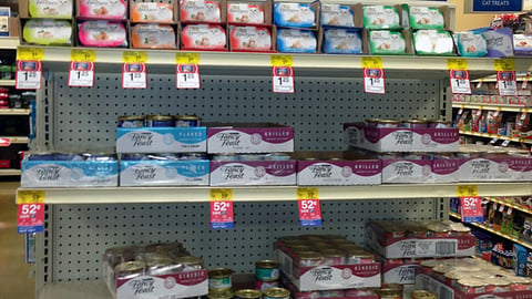PetSmart Fancy Feast 'Labor Day' Endcap Header