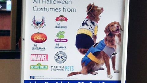 PetSmart 'Labor Day' Stanchion Sign