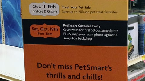 PetSmart 'Celebrate Halloween' Standee