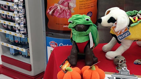 Petco 'Halloween Bootique' Stanchion Sign