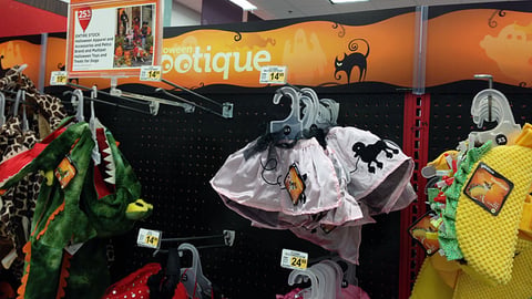 Petco 'Halloween Bootique' In-Line Header