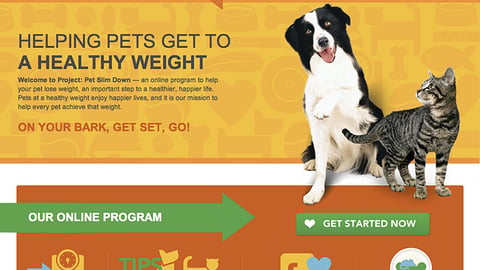 Purina 'Project: Pet Slim Down' Landing Page