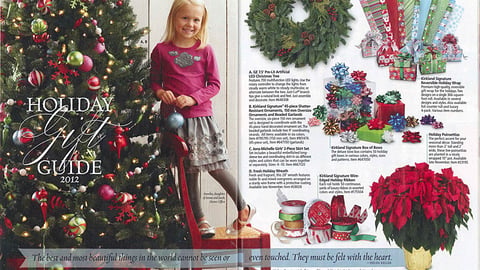 Costco 'Holiday Gift Guide' Cover
