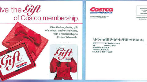 Costco November Mailer Cover