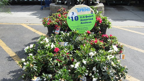 Lowe's 'Now's the Time to Spring' Sign