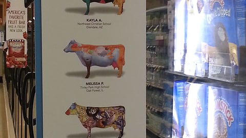 Safeway Lucerne 'Art of Dairy' Violator