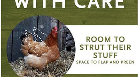 Whole Foods 'Animal Welfare Week' Facebook Update