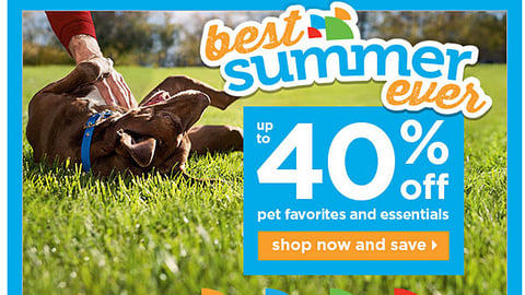 Petco 'Best Summer Ever' Email