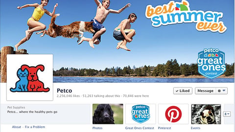 Petco 'Best Summer Ever' Facebook Graphic
