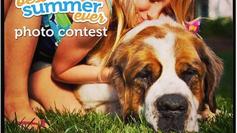 Petco 'Best Summer Ever' Facebook Update