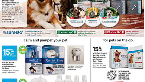 Petco 'Best Summer Ever' Feature