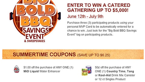 Food Lion 'Big Bold BBQ' Email Ad