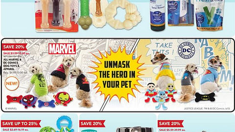 PetSmart JW Pet 'Puppy Love Letter' Feature