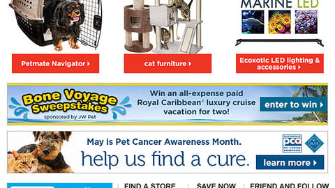 Petco JW Pet 'Bone Voyage' Email Ad