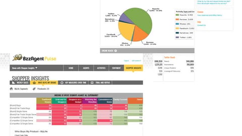 BzzAgent Pulse Dashboard