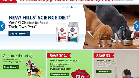 PetSmart Disney 'Capture the Magic' Display Ad
