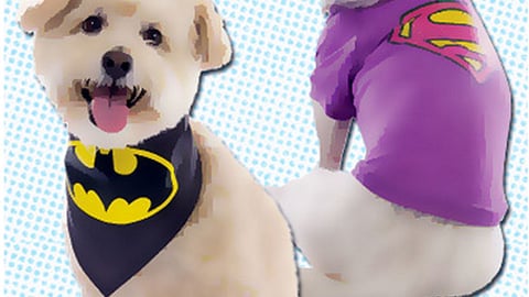PetSmart DC Comics Facebook Update