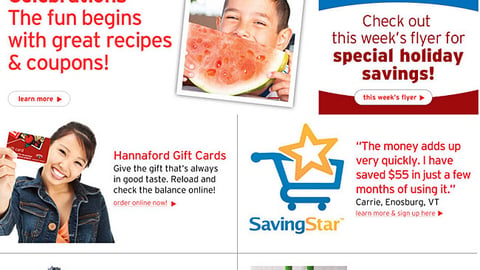 Hannaford PepsiCo 'Discover. Grill. Party' Display Ad