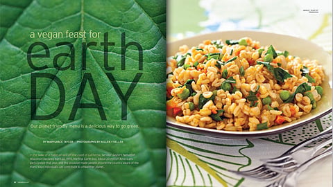Hannaford 'Earth Day' Article