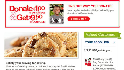 Food Lion 'Shop & Care' Email