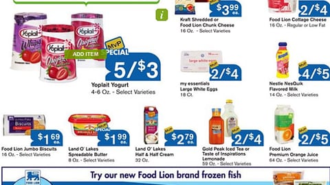 Food Lion 'Fish 'n' Fun' Feature
