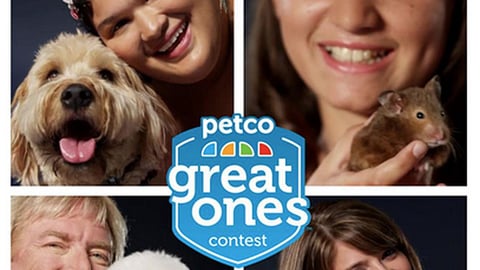 Petco 'Great Ones' Facebook Update