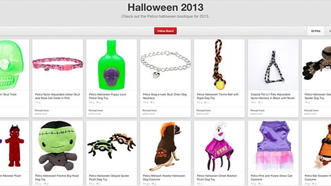 Petco Halloween Pinterest Board
