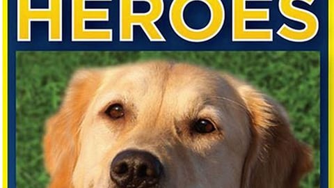 Petco Natural Balance 'Helping Heroes' Facebook Update