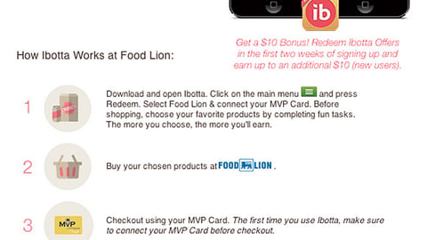 Food Lion Ibotta 'Magical Family Getaway' Email