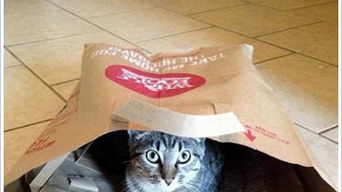 Whole Foods 'It's in the Bag' Facebook Update