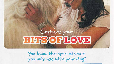 Kibbles 'n Bits 'Bits of Love' FSI