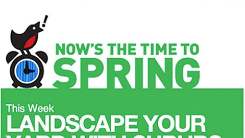 Lowe's 'Time to Spring' Facebook Update